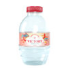 Nước suối chai nhỏ Victory 250ml
